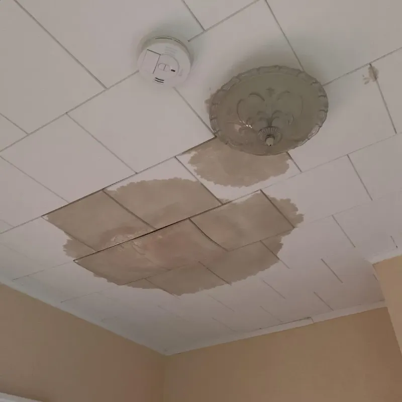 Ceiling Water Damage Repair in Leonardtown, MD