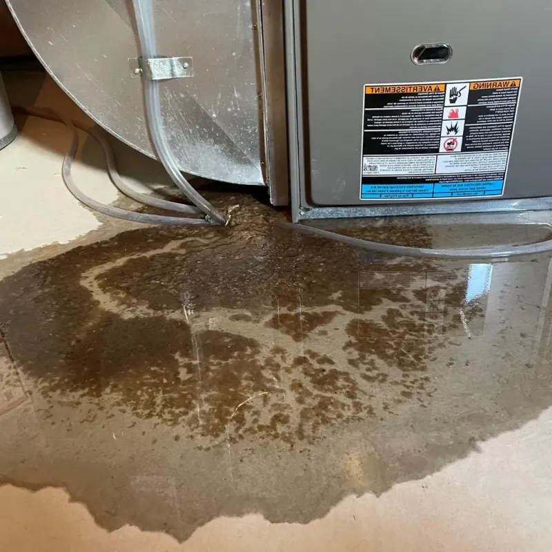 Pipe Burst and Leak Restoration in Leonardtown, MD