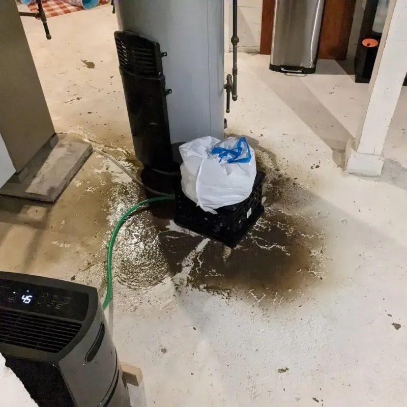 Sewage Backup Cleanup Service in Leonardtown, MD
